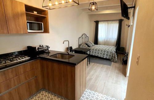 Centro Apartment | Limones B Encantador Loft en el corazón de Tequis 2p