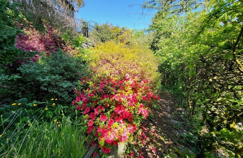 Chapel Stile House | Lingmoor Cottage - Three Bedroom House, Sleeps 6