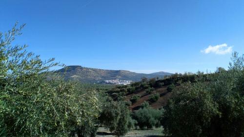 Priego de Cordoba House | Lirio Azul Casa Rural