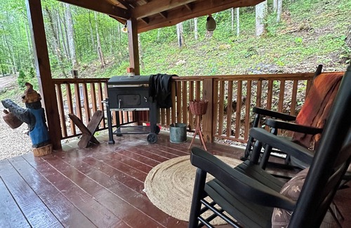 Cosby Cabin | Little Bear Tiny Cabin in The Forest