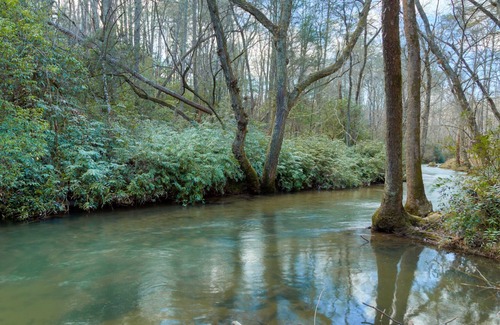Cleveland House | Little Bit of Heaven on Town Creek - Remote cottage on a beautiful creek