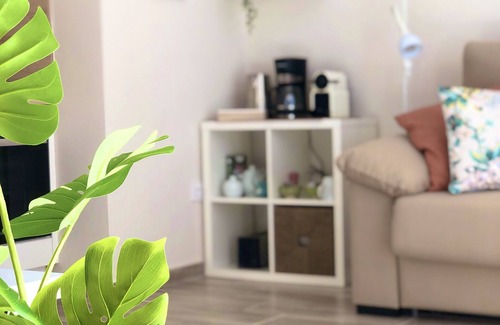 Santa Cruz de Tenerife Apartment | Little paradise in front of the sea