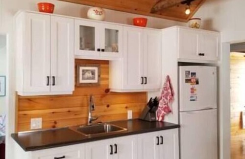 Newfoundland House | Little Pike Summary: