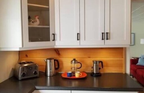 Newfoundland House | Little Pike Summary: