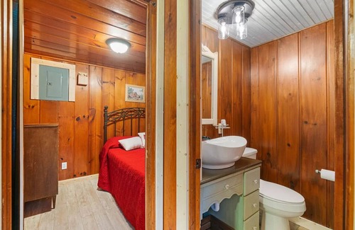 Carp Lake Cabin | Little Red - Charming and Close to Mackinac Island Ferry