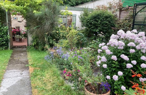Bovey Tracey House | Little Reeds