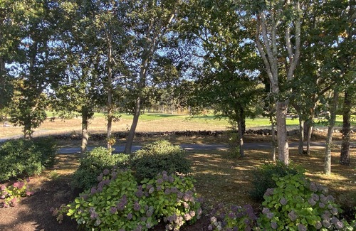 Brewster Condo | Little slice of Heaven in Ocean Edge near Lynx Tavern and Arbor pool!