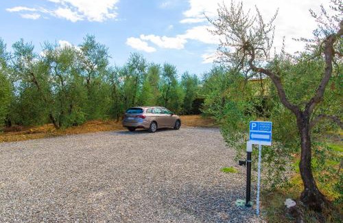 Lastra a Signa Apartment | Live Tuscany! Apartment on the hills of Florence!