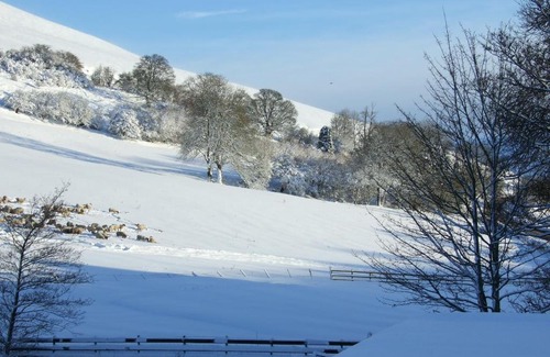 Llanfihangel-nant-Melan Bed & Breakfast | Llew Coch B&B formerly The Red Lion inn