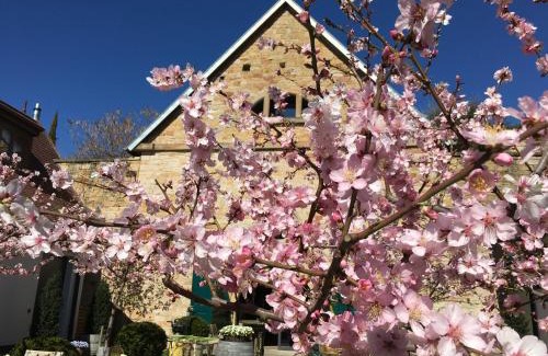 Gimmeldingen Apartment | Loblocher Hof