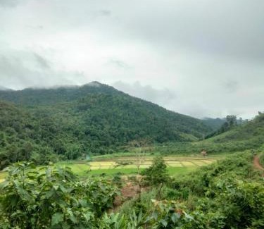 Luang Namtha Other | Local Adventure Laos