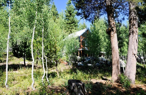 Ponderosa Cabin | Located on 15 Beautiful Acres on Kramer Meadow,Ponderosa, Very Private