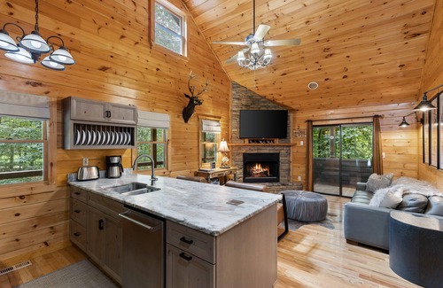 Blue Ridge Cabin | Location, Location, Location! Close to Lake, Hiking, Downtown, and Restaurants