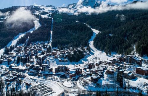 La Perriere Apartment | Location Ski La Tania : Apt 2 Pièces, 4 Pers, Balcon, Proche Commerces et Navettes - FR-1-182A-22