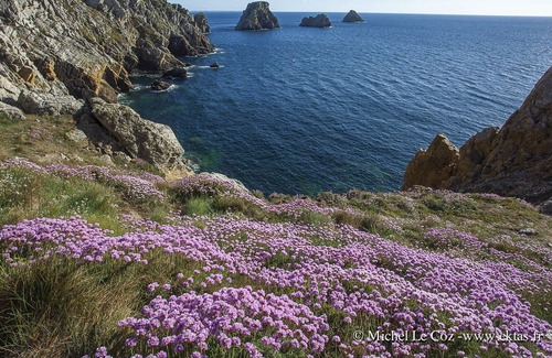 Locronan House | LOCRONAN. Rest between sea and land,; calm, 5mn from the beach.jardin.