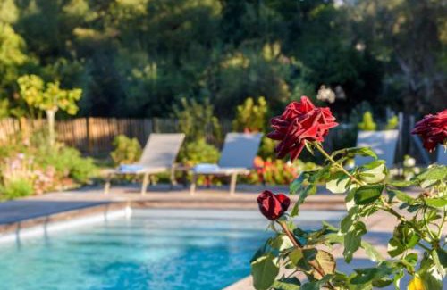 Lecci Villa | Lodge Les Oliviers Di Lecci
