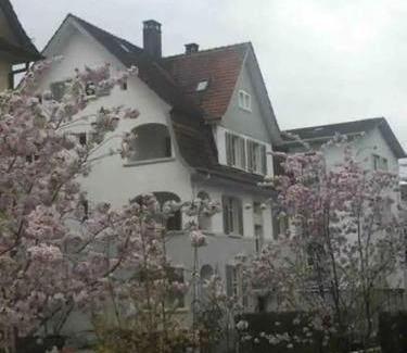 Zug Apartment | Loft Apartment in Central Zug