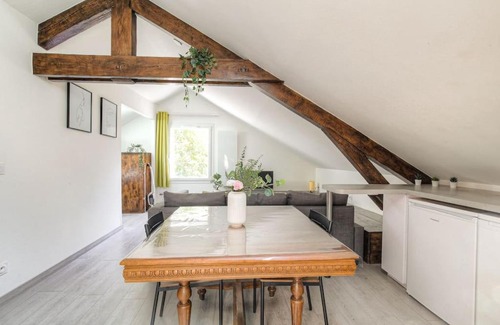 Republique - Tolstoi Apartment | Loft charmant dans maison de ville, Villeurbanne