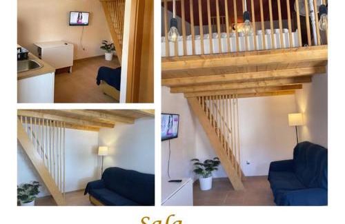 Minas de Sao Domingos Apartment | Loft da Mina