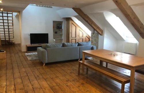 Oloron-Sainte-Marie Apartment | Loft dans les Pyrénées