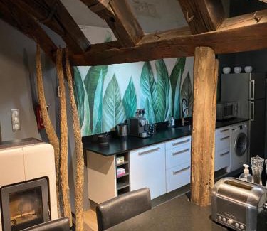 Montbeliard Apartment | Loft i gemelli