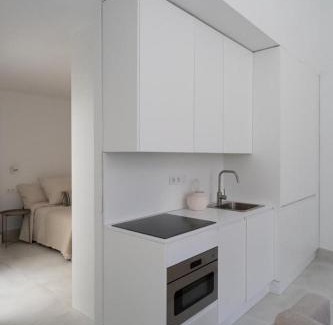 Numancia Apartment | Loft in the city