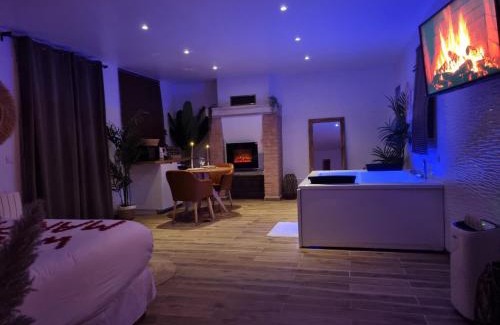 Saint-Prix House | loft indépendant JACUZZI jardin privatif 20min Paris