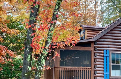 Lake Lure House | Log Cabin Walkable to Lake Lure & Chimney Rock - Blue Skies