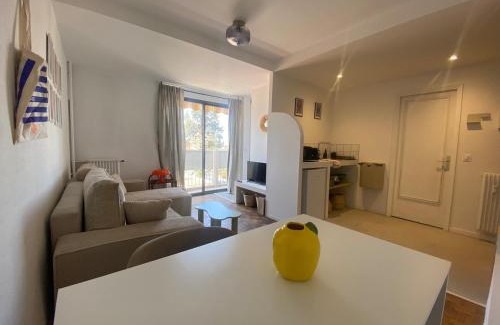 Minimes - Barriere de Paris Apartment | Logement cosy Toulouse 2 à 4 personnes