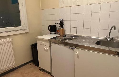 Tonkin Nord Apartment | Logement entier à 50 métre de la Parc de la Tête d'Or