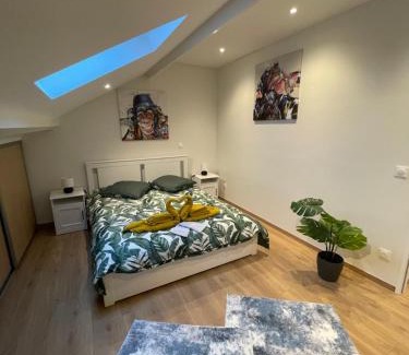 Reims Apartment | Logement très cosy et sympathique