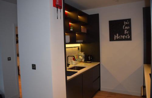 Docklands Apartment | London City Island 3 Bedroom Luxury Apartments, Canary Wharf