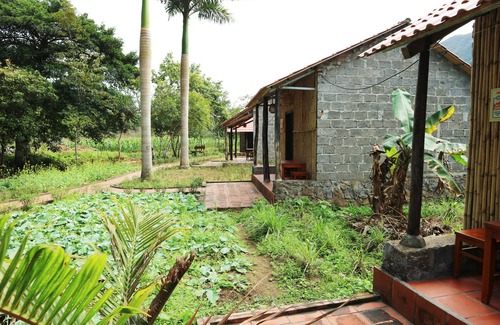 Cat Hai Hotel | Long Phuong Homestay