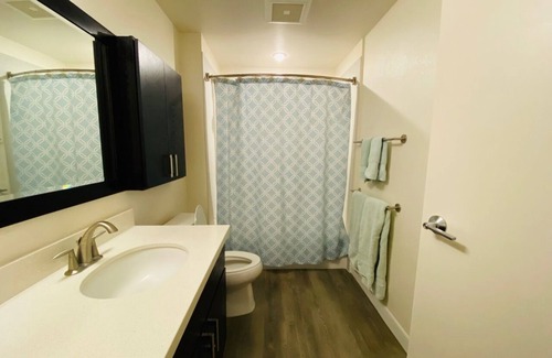 Downtown Honolulu Condo | Long term rental in Kakaako