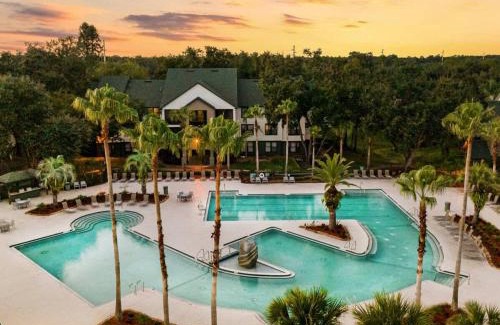 Bearss Plaza Apartment | Long Term Stays Allowed Pet Friendly & Pool