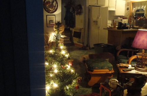 Rising Fawn Cabin | LOOKOUT MOUNTAIN CLEAN & COZY CABIN/GREAT VIEWS/HOT TUB, HIKING, PET FRIENDLY