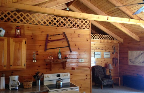 Chestertown Cabin | Loon Lake Log Cabin with canoe and kayaks, fire pit, and game room!