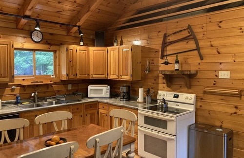 Chestertown Cabin | Loon Lake Log Cabin with canoe and kayaks, fire pit, and game room!