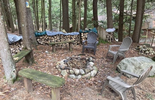 Chestertown Cabin | Loon Lake Log Cabin with canoe and kayaks, fire pit, and game room!