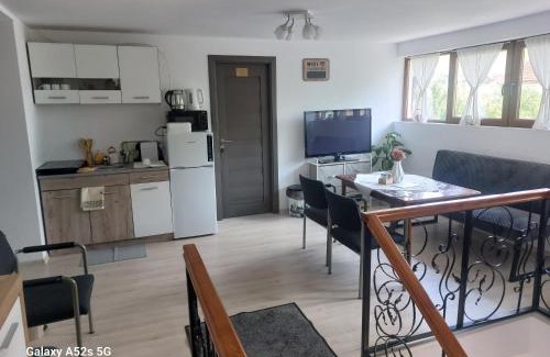 Lunca de Sus House | Lopofa