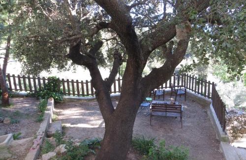 Majada Carrasca House | Los Ahijaderos de Tus