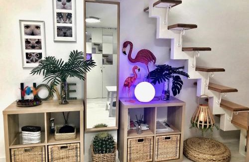 Malasana Apartment | Los Flamencos, Malasaña Loft Madrid 45mq