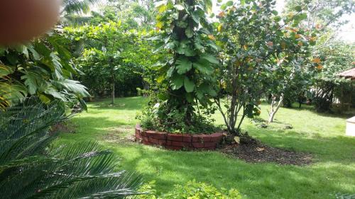 San Cristobal House | Los Palmares Guest House & Eventos