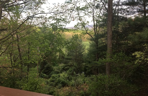 Mathias Cottage | Lost River WV-Relaxing 3br/2bath farmhouse-dog friendly- treetop deck-workspace