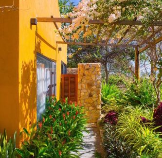 Phan Thiet House | Lotus Beach House