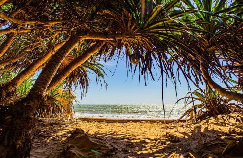 Phan Thiet House | Lotus Beach House
