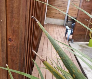 Le Teich Apartment | Lou Cachotte