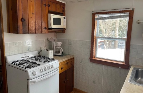 Grayling Cabin | Lovells Riverside Cabins # 2 on the AuSable River