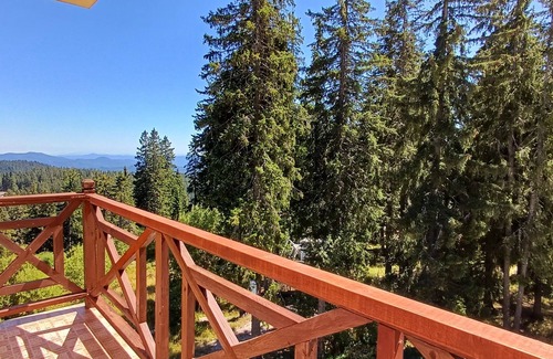 Pamporovo Apartment | Lovely 1-bedroom apartment in Pamporovo Pine hill-1