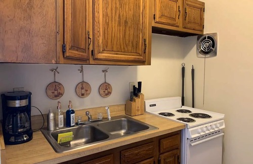 Jackson Ward Apartment | Lovely 1-bedroom apartment in Downton Arts District 5 mins from VCU